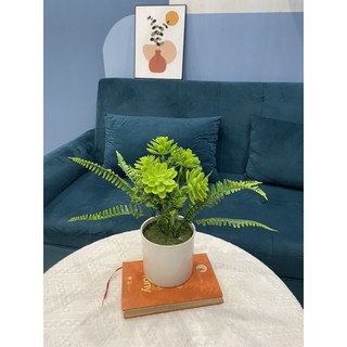 Chậu sen đá cao 30cm, chậu cây giả trang trí