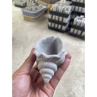 Chậu xi măng hình vỏ ốc