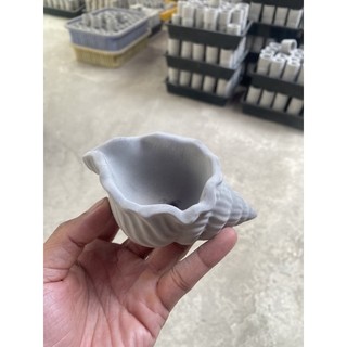 chậu xi măng hình vỏ ốc
