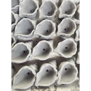 chậu xi măng hình vỏ ốc