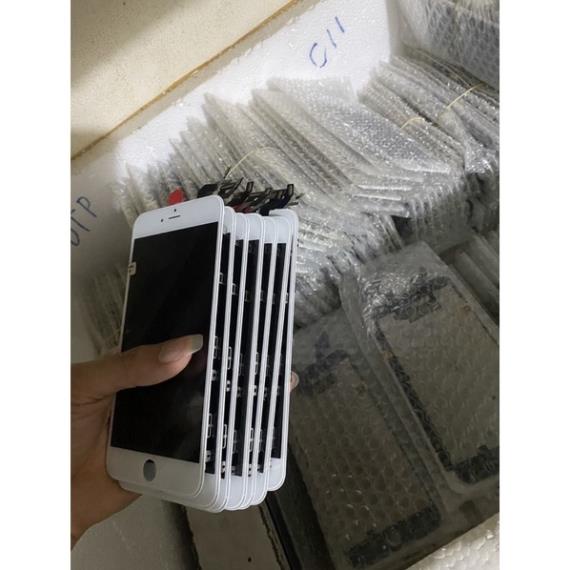 Man 6g 6s 6p 6spl 7g 8g 7p 8p