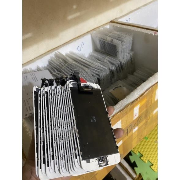 Man 6g 6s 6p 6spl 7g 8g 7p 8p