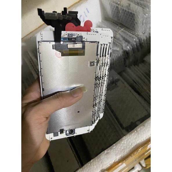 Man 6g 6s 6p 6spl 7g 8g 7p 8p