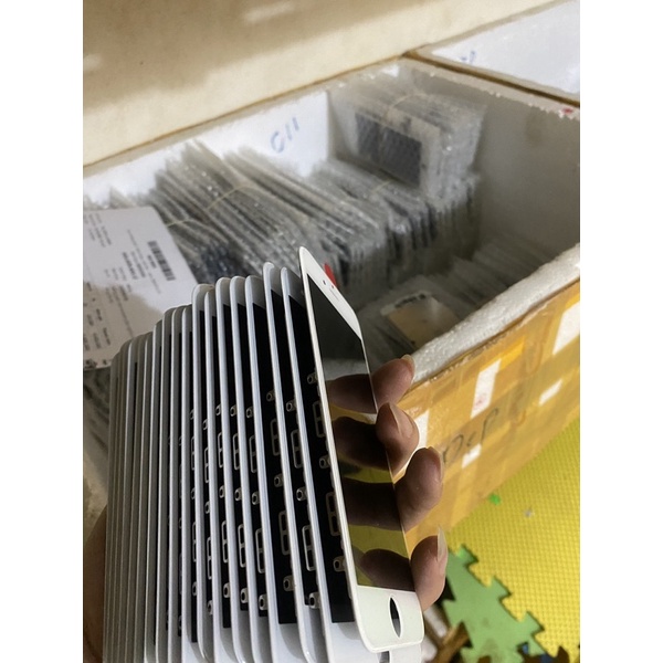 Man 6g 6s 6p 6spl 7g 8g 7p 8p