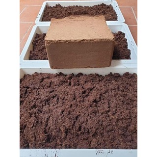 Đất nén- viên nén mụn xơ dừa 5kg giá thể trồng rau, hoa, cây cảnh
