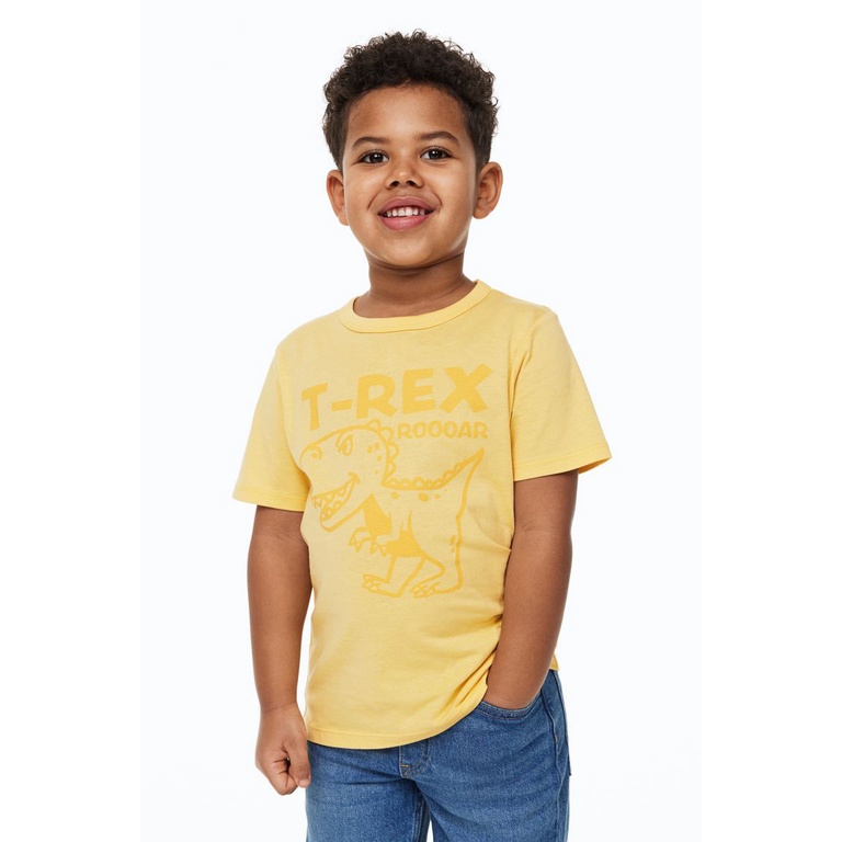 Áo phông vàng khủng long T rex xanh khủng long hươu cao cổ H&M HM_ hàng chính hãng authentic