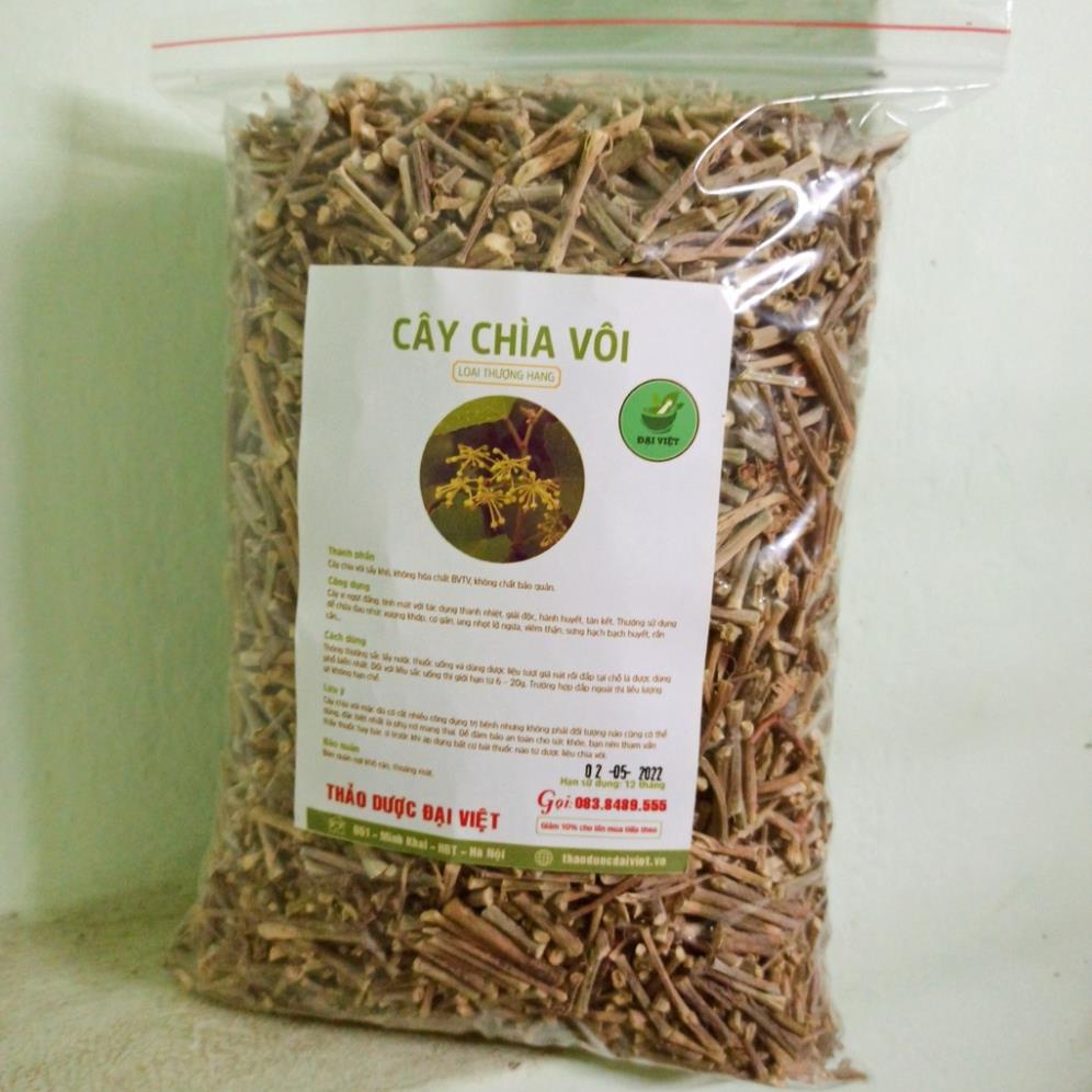 Cây chìa vôi khô [1KG] Tốt cho người xương khớp, thoát vị đĩa đệm