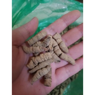 Củ Ba Kích Tím Khô (Đã Bỏ Lõi) 100g