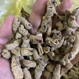 Củ Ba Kích Tím Khô (Đã Bỏ Lõi) 100g
