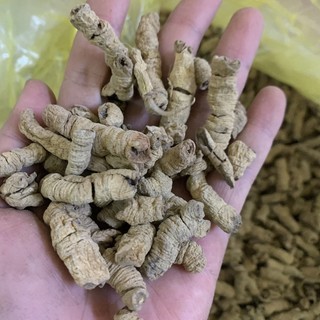 Củ Ba Kích Tím Khô (Đã Bỏ Lõi) 100g