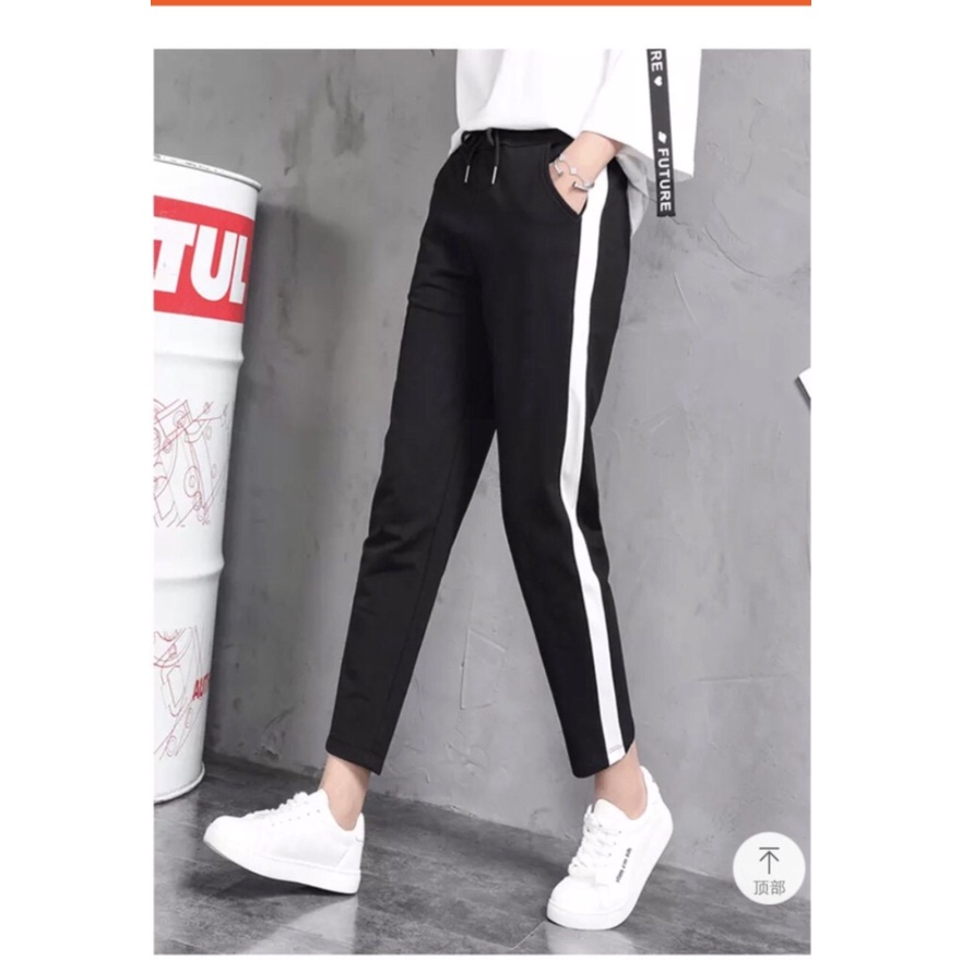 Rập quần thun bagy mã 1367