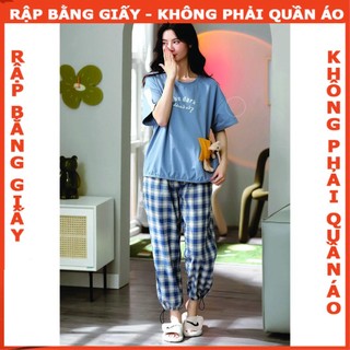 Rập giấy A0 bộ thun mã 1343 (BẢN VẼ)