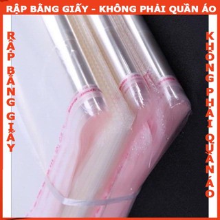 100g TÚI OPP băng keo dán miệng-Kích thước 26x37cm( 19 cái)