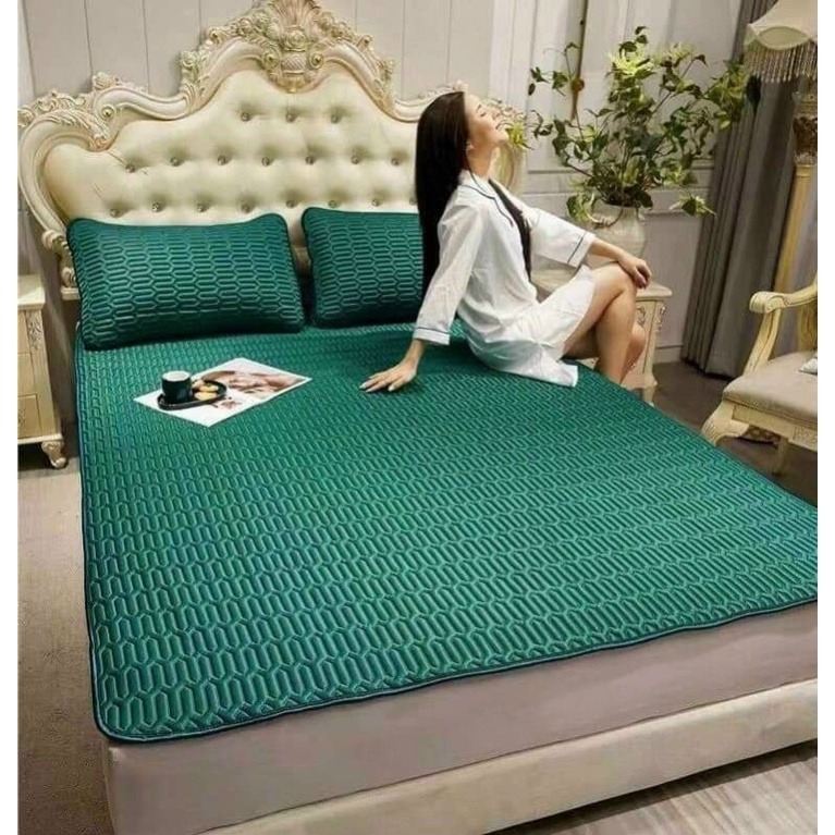 chiếu điều hòa cao su non 3d hàng đẹp tặng kèm 2 vỏ gối cùng màu kích thước 1m6x2m và 1m8x2m