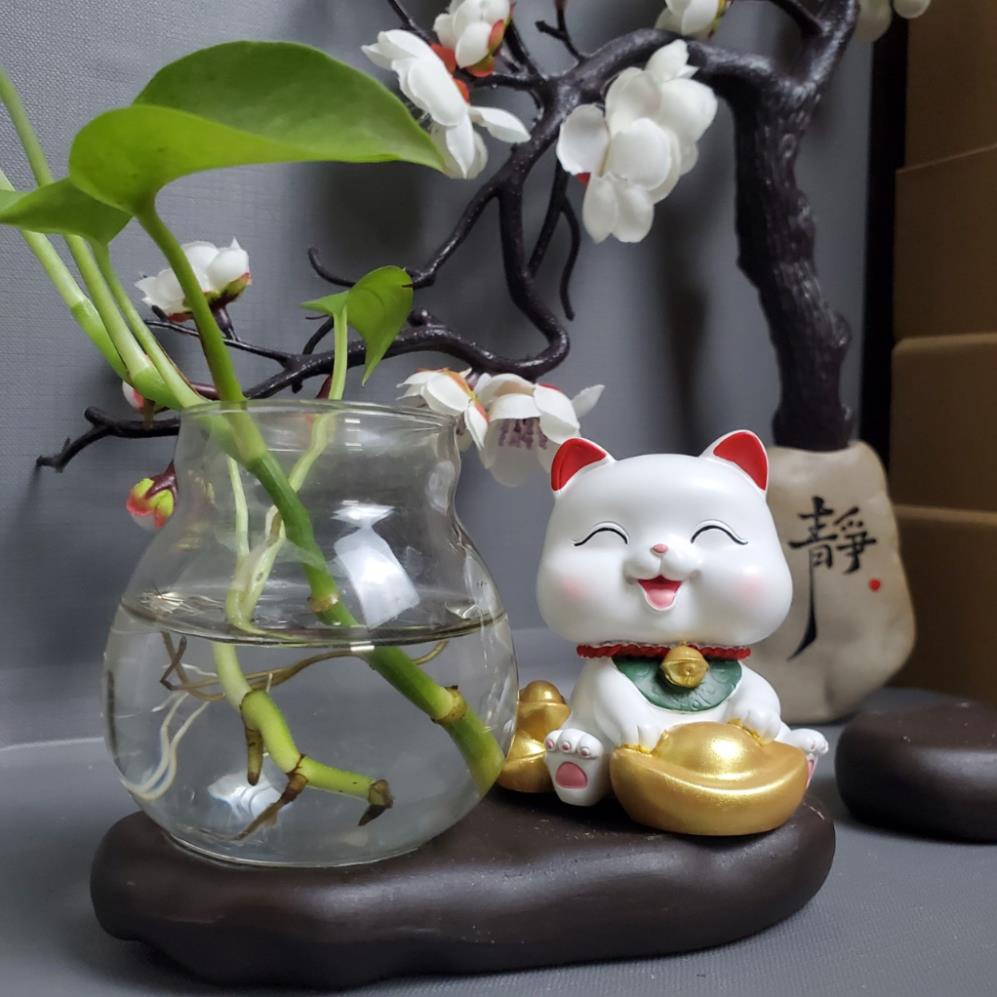 Mèo Thần Tài Bình Thủy Sinh 2023 biểu cảm dễ thương  để bàn làm việc, trang trí nhà cửa, ô tô, quà tặng bạn bè 2603 | BigBuy360 - bigbuy360.vn