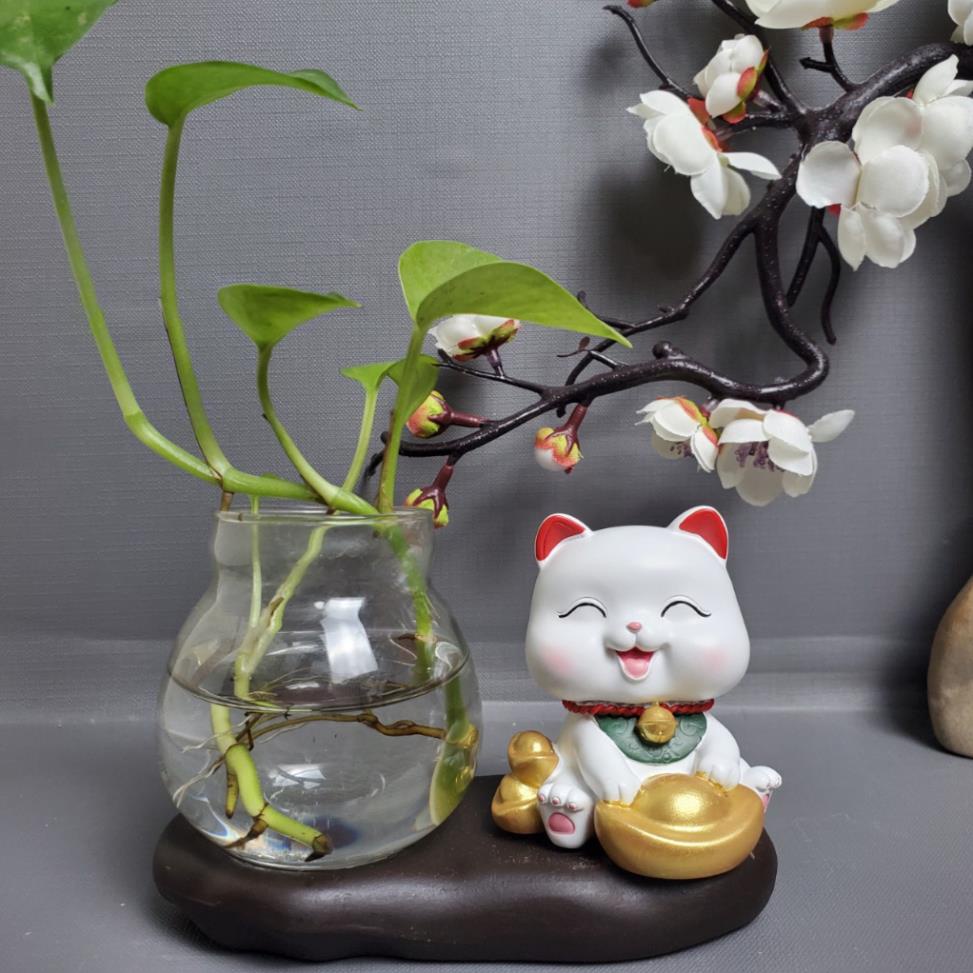 Mèo Thần Tài Bình Thủy Sinh 2023 biểu cảm dễ thương  để bàn làm việc, trang trí nhà cửa, ô tô, quà tặng bạn bè 2603 | BigBuy360 - bigbuy360.vn