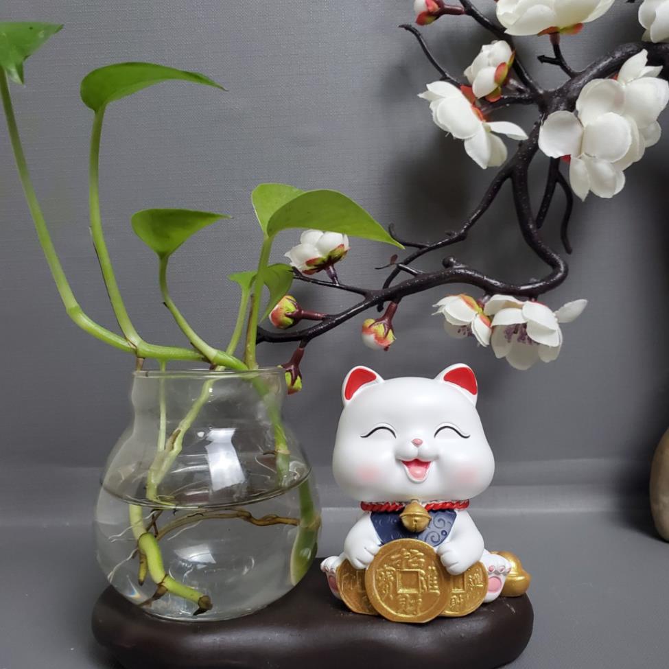 Mèo Thần Tài Bình Thủy Sinh 2023 biểu cảm dễ thương  để bàn làm việc, trang trí nhà cửa, ô tô, quà tặng bạn bè 2603 | BigBuy360 - bigbuy360.vn