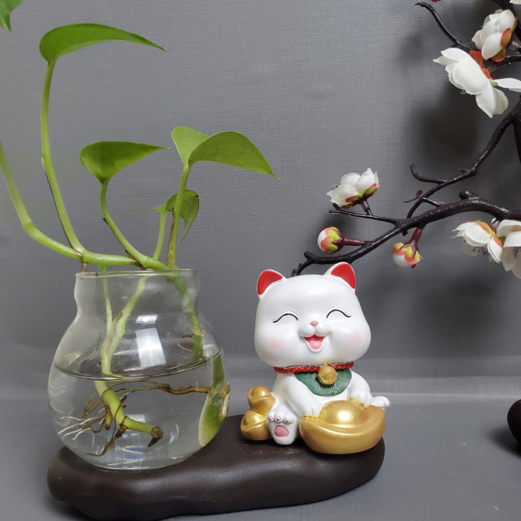 Mèo Thần Tài Bình Thủy Sinh 2023 biểu cảm dễ thương  để bàn làm việc, trang trí nhà cửa, ô tô, quà tặng bạn bè 2603 | BigBuy360 - bigbuy360.vn