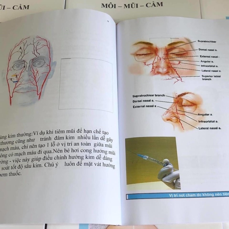 ✅ Giáo Trình - Tiêm Filler/chi tiết,cho người mới bắt đầu học