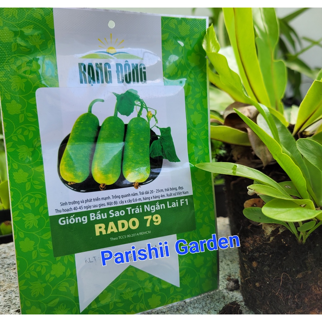 Hạt giống Bầu sao trái ngắn Rado 79 (10 hạt)