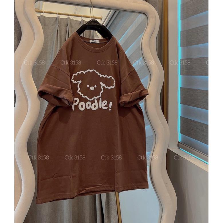 Áo phông 3158 cotton khô form rộng nam nữ in hình Poodie