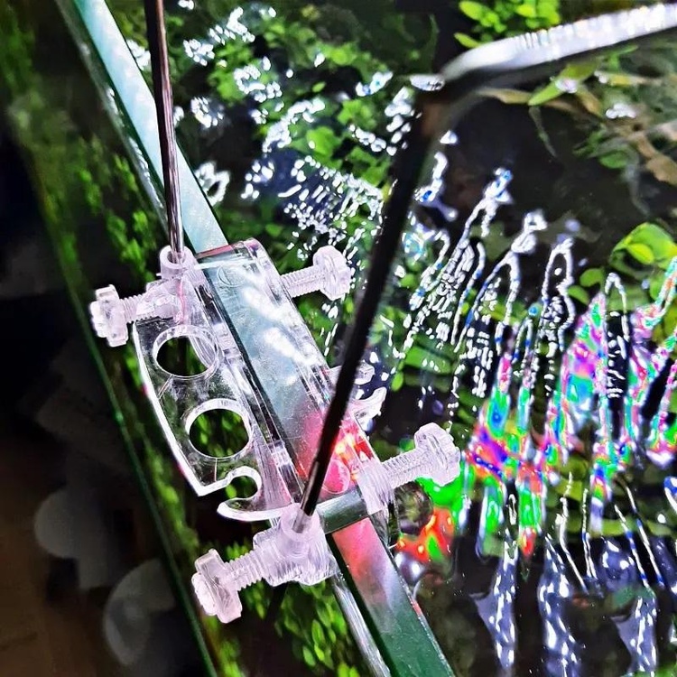 Đèn thủy sinh Coco WRGB - Ngon bổ rẻ