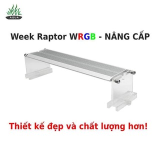 Đèn WEEK Raptor WRGB (V Series), mắt LED RGB riêng biệt (Bản cũ).