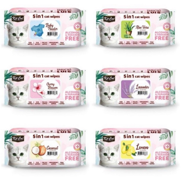 Khăn giấy ướt diệt khuẩn khử mùi cho Mèo KitCat 5 in 1 Cat Wipes
