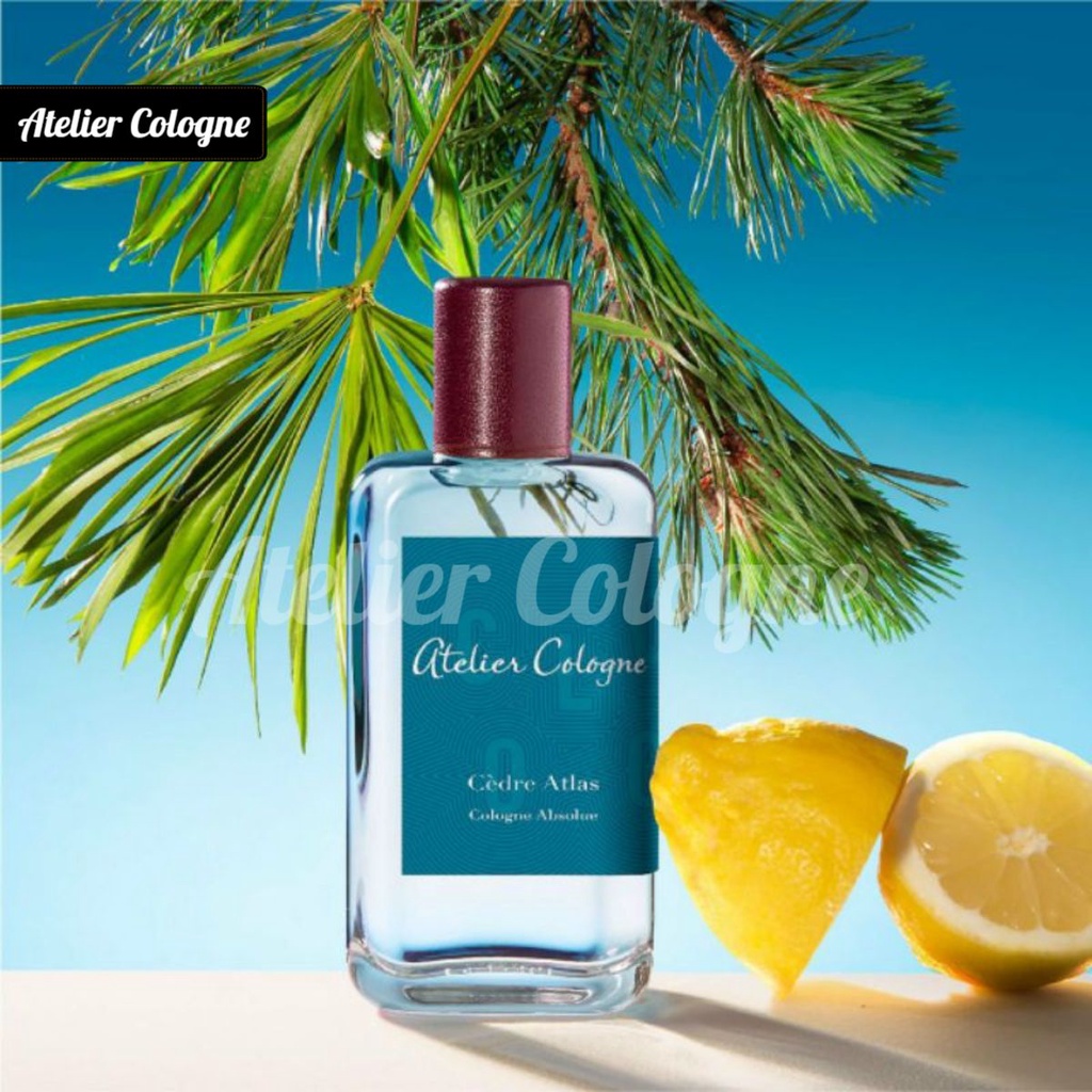 12ml ⁂︎ Nước Hoa 𝗔𝗧𝗘𝗟𝗜𝗘𝗥 Cologne A TREK IN A FOREST ENVIGORATED EDT