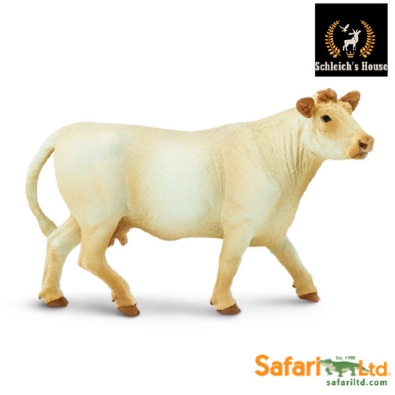 Mô hình động vật , đồ chơi con vật Safari Ltd chính hãng Bò Charolais cái 231229 - Schleich House