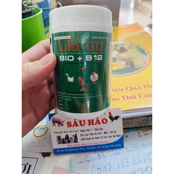 Bio + B12 úm