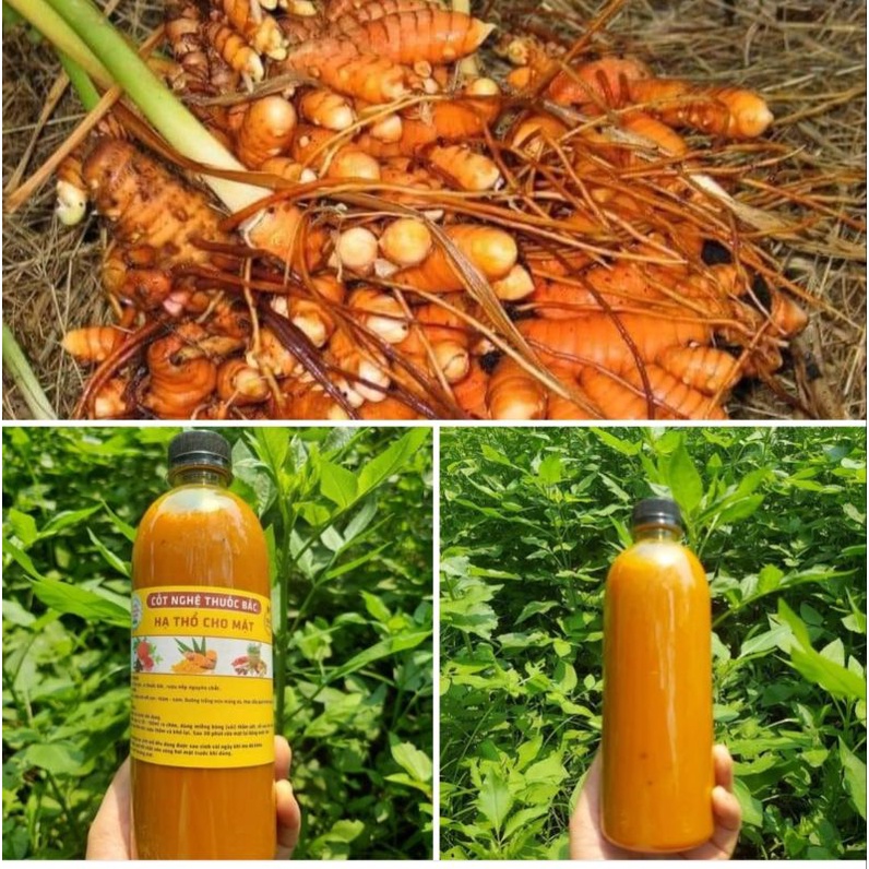 Cốt rượu Gừng Nghệ Hạt Gấc hạ thổ sản phẩm tuyệt vời cho mẹ sau sinh.