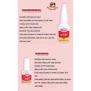 Keo waloc gắn đá, gắn móng waloc ( keo bê tông)