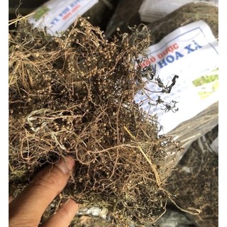 1Kg Bán Chi Liên (Sao vàng hạ thổ,  khô, thơm) Hoàng cầm râu hỗ trợ K, U bướu
