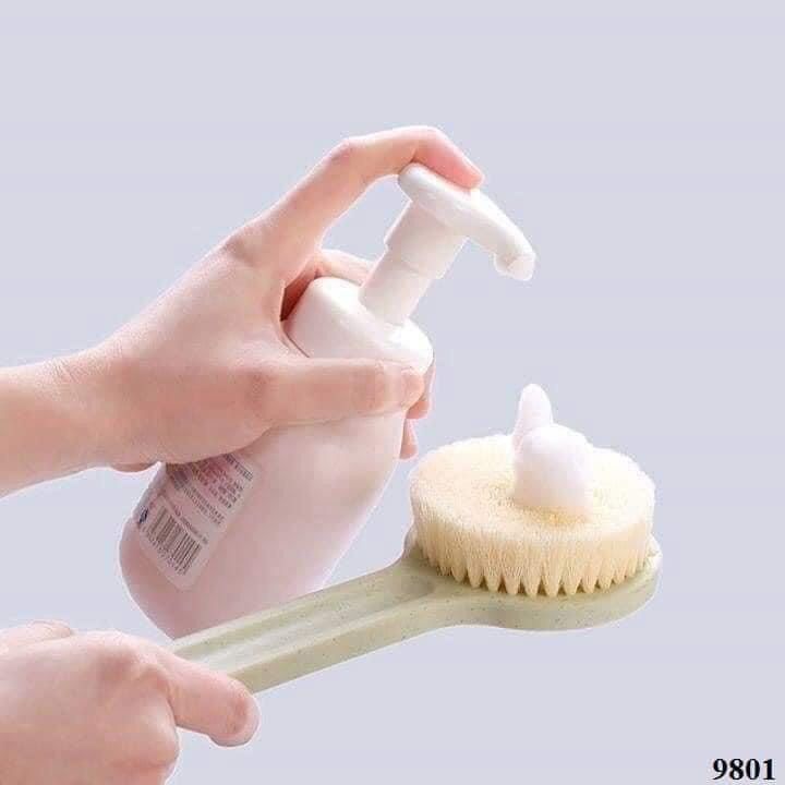 Cây Cọ Chà Lưng MUJI