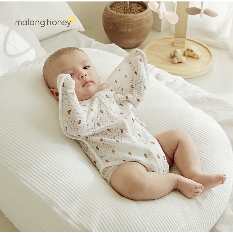 Nhộng chũn cánh bướm Malang honey organic