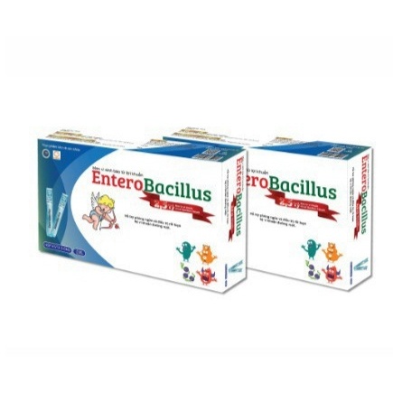 Men tiêu hoá Entero Bacillus cân bằng vi khuẩn đường ruột, giúp tiêu hóa tốt, tăng sức đề kháng và m
