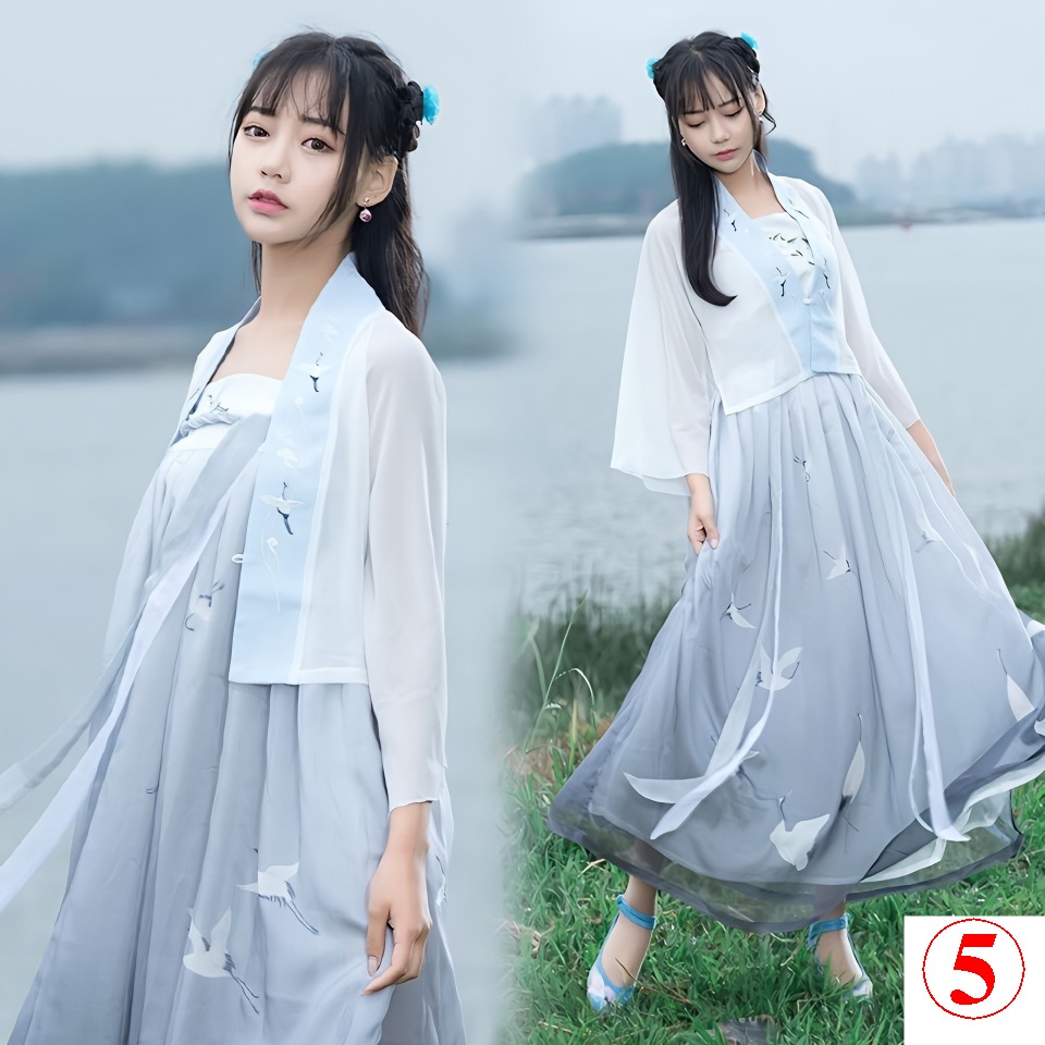 Đầm Chiffon Dài Đến Mắt Cá Chân Thêu Họa Tiết Phong Cách Trung Hoa Cổ Điển Thời Trang Cho Nữ