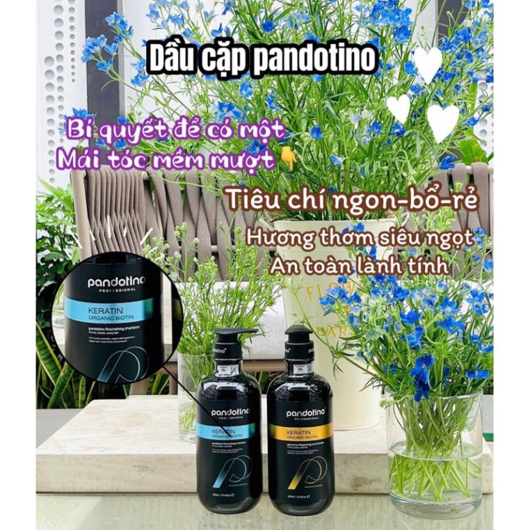 Cặp gội xả Pandotino  kích mọc tóc ,hương thơm mát 800ml