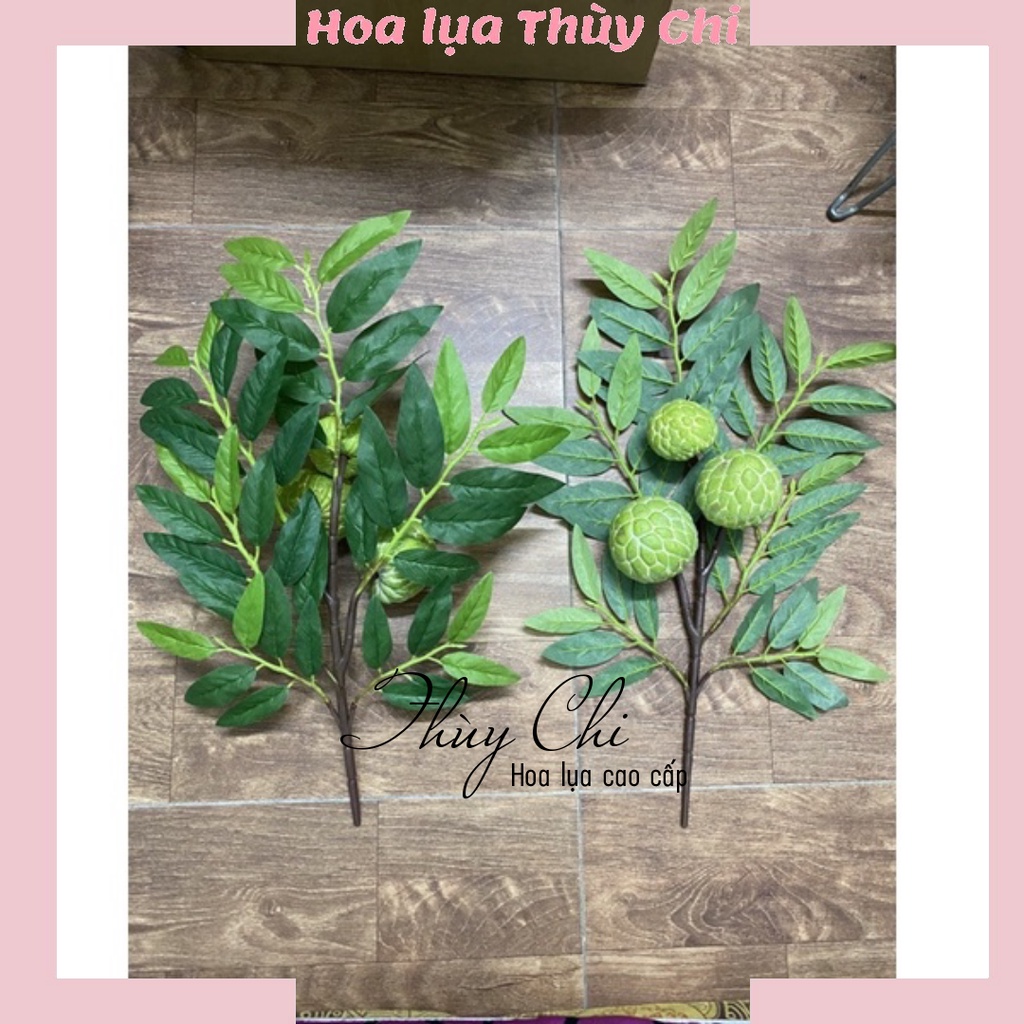 Cành trái cây đủ loại hàng Đài Loan ,shophoathuychi
