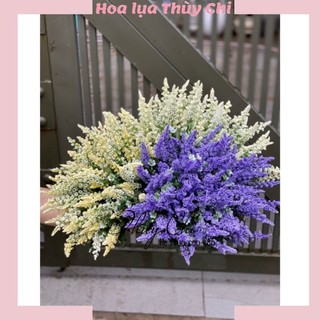 [ Hoa Thạch Thảo] Bụi chồn thạch thảo trang trí decor siêu đẹp