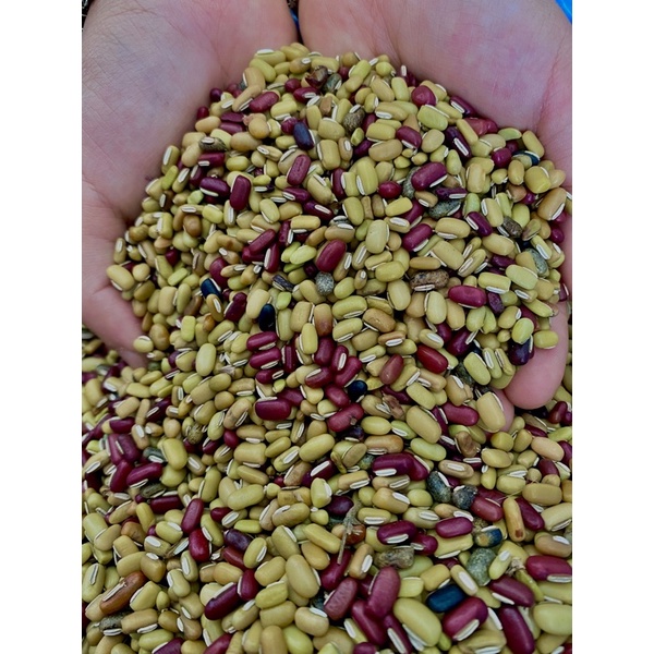 ĐẬU NHO NHE 1KG Loại đặc biệt ( CÓ TẶNG KÈM QUÀ)