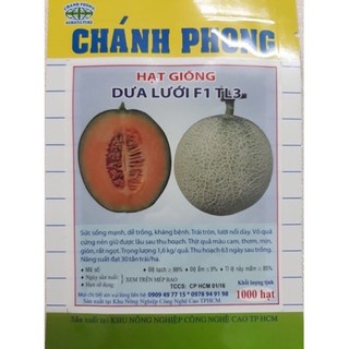 Combo 5 gói hạt giống dưa lưới tl3 10 hạt