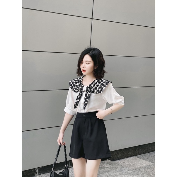 somi trắng cổ kẻ đen - Luu hanh