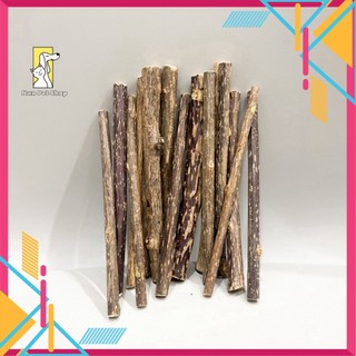 Que gỗ Catnip bạc hà cho mèo gặm sạch răng giảm Stress