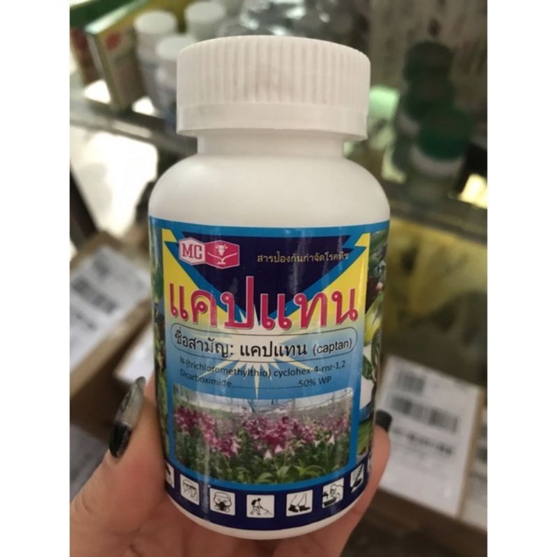 ĐẶC TRỊ THỐI NHŨN, ĐỐM ĐEN, ĐỐM NÂU PHONG LAN- CAPTAN THÁI LAN