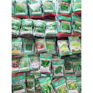 2gram Hạt giống củ cải đỏ dài trồng quanh năm