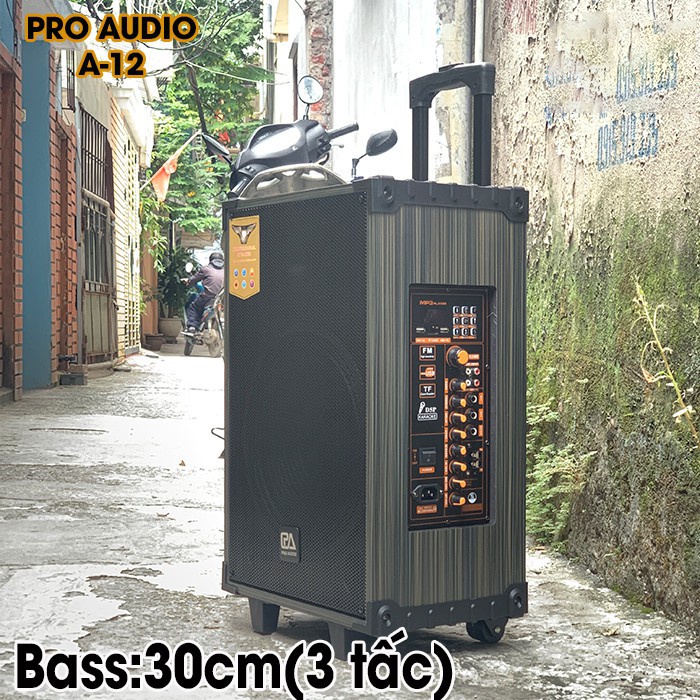 Loa kéo Karaoke Pro Audio A12/A10 Siêu Bass Công Suất Đỉnh 1000W-1500W