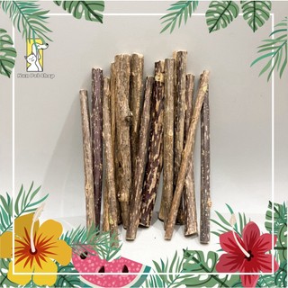 Que gỗ Catnip bạc hà cho mèo gặm sạch răng giảm Stress