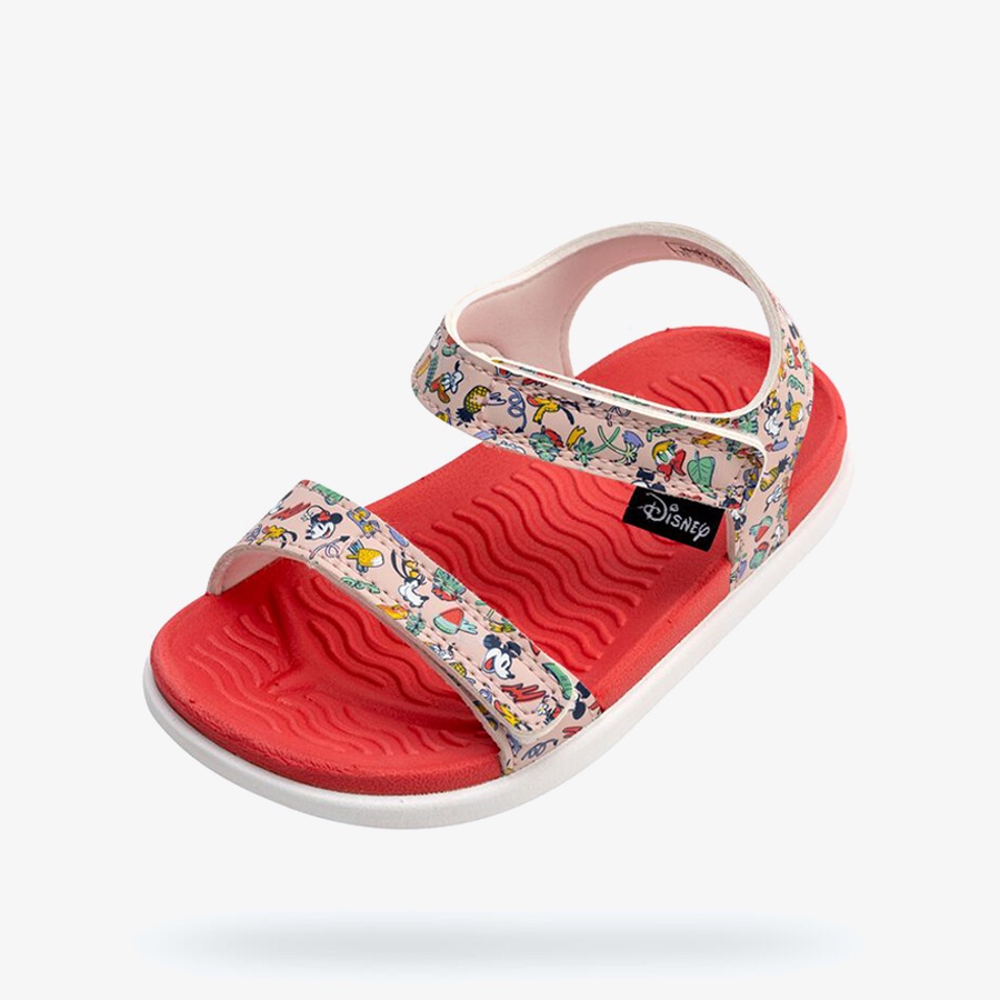 Giày Sandals Bé Gái Native Charley Print - Dsny Child